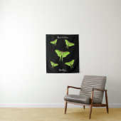 Luna Moth cartoon illustratie Wandkleed (In situ)