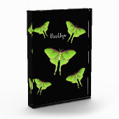Luna Moth cartoon illustration Fotoblokken (Links)