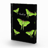 Luna Moth cartoon illustration Fotoblokken (Rechts)