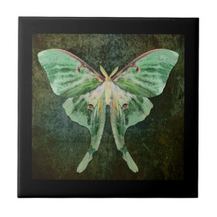 Luna Moth Ceramic Art Tile Tegeltje