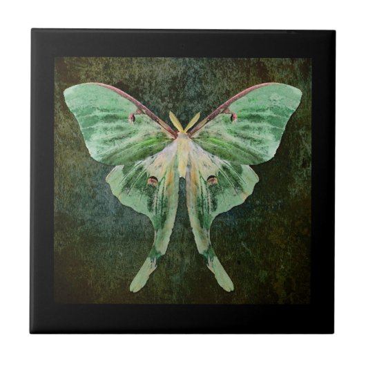 Luna Moth Ceramic Art Tile Tegeltje (Voorkant)