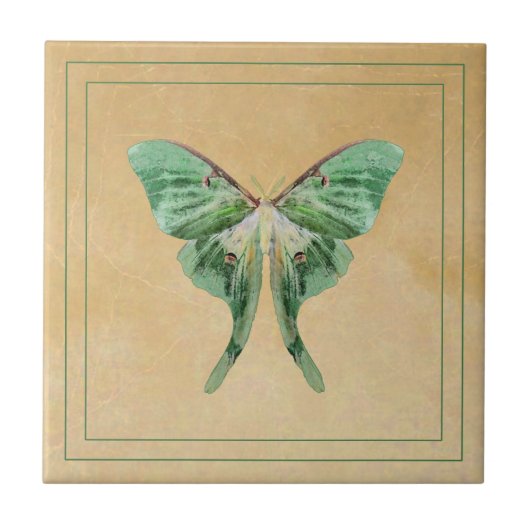 Luna Moth Ceramic Art Tile Tegeltje (Voorkant)
