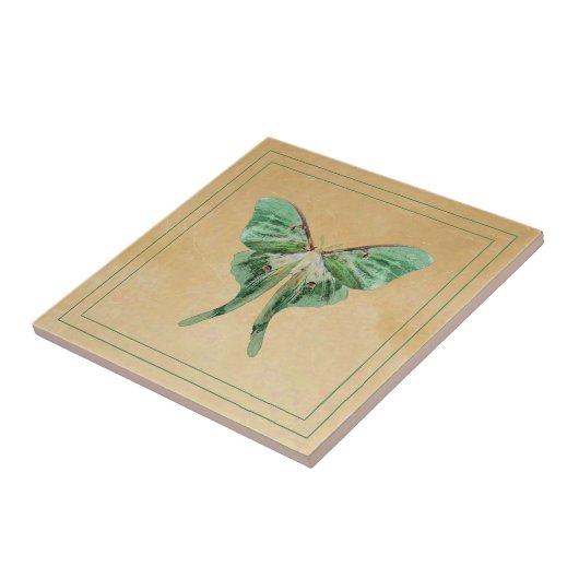 Luna Moth Ceramic Art Tile Tegeltje (Zijkant)