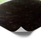 Luna Moth Close-Up Poster (Hoek)