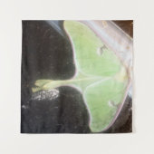 Luna Moth Close-Up Wandkleed (Voorkant (horizontaal))