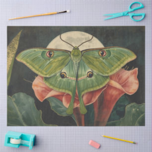 Luna Moth Conservatory Botanicals Tissuepapier