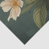 Luna Moth Conservatory Tissuepapier (Detail)