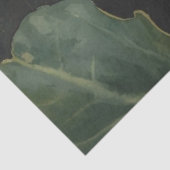 Luna Moth ConservatoryvBotanicals Tissuepapier (Detail)