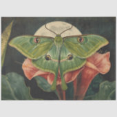 Luna Moth ConservatoryvBotanicals Tissuepapier (Voorkant)