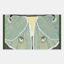 Luna Moth digitaal schilderij accent kussen