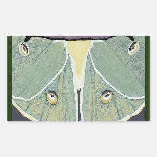 Luna Moth digitaal schilderij accent kussen Rechthoekige Sticker