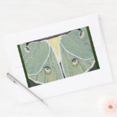 Luna Moth digitaal schilderij accent kussen Rechthoekige Sticker (Envelop)