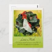 Luna Moth fascineren Briefkaart (Voorkant / Achterkant)