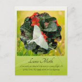 Luna Moth fascineren Briefkaart (Voorkant)