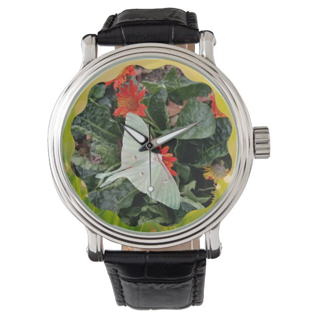 Luna Moth fascineren Horloge (Voorkant)