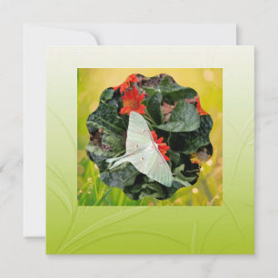 Luna Moth Flat Card activeren