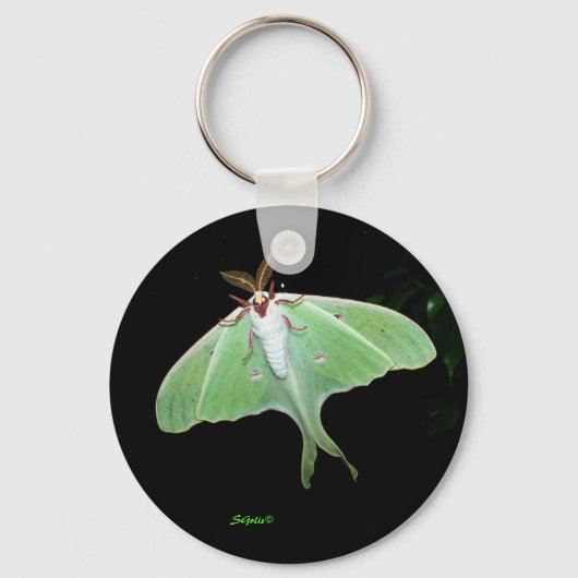 Luna Moth Foto Sleutelhanger (Voorkant)