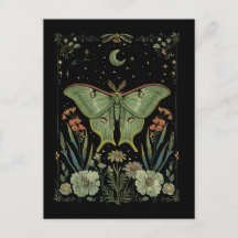 Luna Moth Gotische Waterverf Kunst