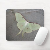 Luna moth grijs achtergrondmousepad muismat (Met muis)