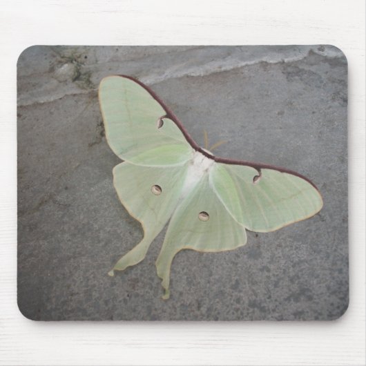 Luna moth grijs achtergrondmousepad muismat (Voorkant)