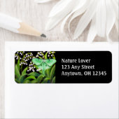 Luna Moth in Lily van de Vallei Bloemen Label (Insitu)