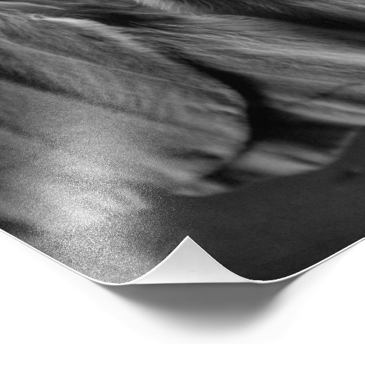 Luna Moth in zwart-wit Foto Afdruk (Hoek)