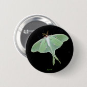 Luna Moth Insect Button (Voorkant /achterkant)