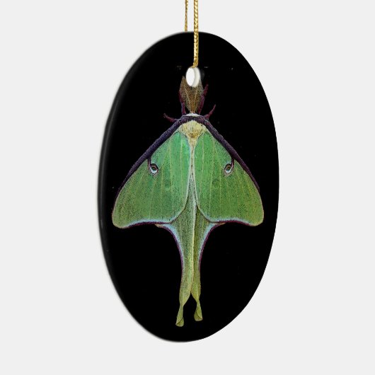 Luna Moth Keramisch Ornament (Rechts)