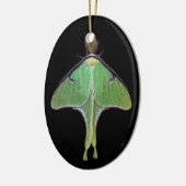 Luna Moth Keramisch Ornament (Links)