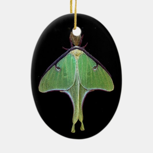Luna Moth Keramisch Ornament (Achterkant)