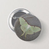 Luna moth-knop ronde button 5,7 cm (Voorkant /achterkant)