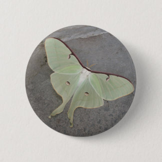 Luna moth-knop ronde button 5,7 cm