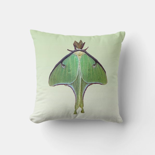 Luna Moth Kussen (Voorkant)