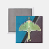 Luna Moth Magnet (Voorkant / Achterkant)