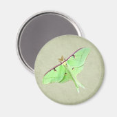 Luna Moth Magnet (Voorkant / Achterkant)