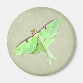 Luna Moth Magnet (Voorkant)