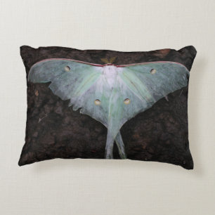 luna moth natuur vlinderkoorts droom accent kussen