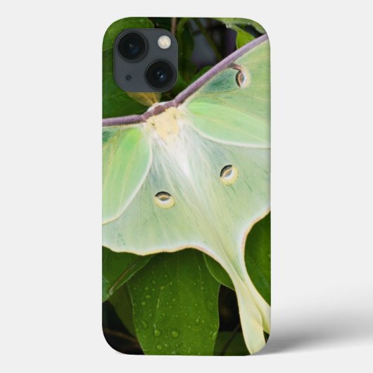 Luna Moth on Carnaby Clematis Case-Mate iPhone Case (Achterkant)