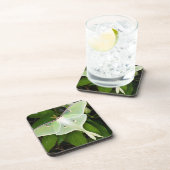 Luna Moth on Carnaby Clematis Drankjes Onderzetter (Rechterzijde)