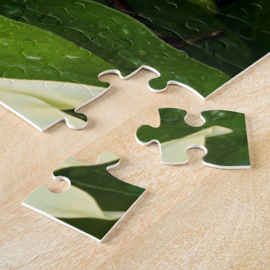 Luna Moth on Carnaby Clematis Legpuzzel (Zijkant)