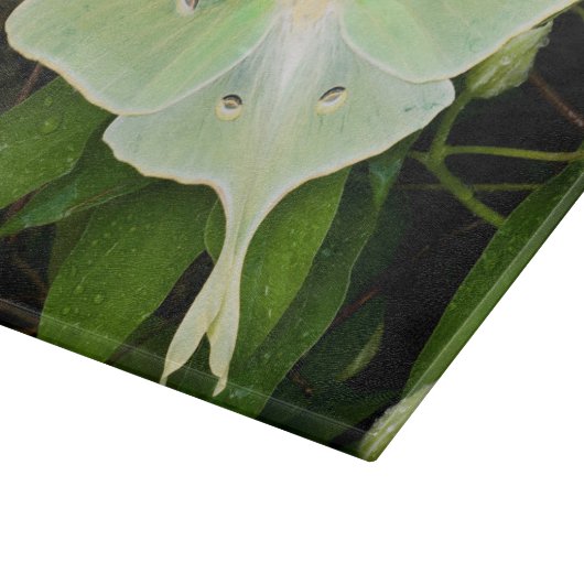 Luna Moth on Carnaby Clematis Snijplank (Hoek)