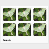 Luna Moth on Carnaby Clematis Vierkante Sticker (Vel)