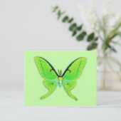 Luna moth op een bleke groene achtergrond briefkaart (Staand voorkant)