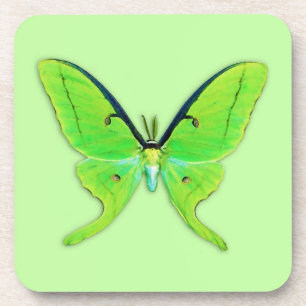 Luna moth op een bleke groene achtergrond drankjes onderzetter