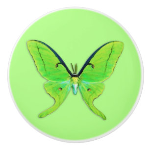 Luna moth op een bleke groene achtergrond keramische knop