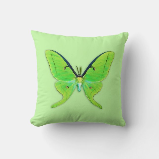 Luna moth op een bleke groene achtergrond kussen (Voorkant)