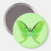 Luna moth op een bleke groene achtergrond magneet (Voorkant / Achterkant)