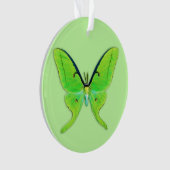 Luna moth op een bleke groene achtergrond ornament (voorkant)