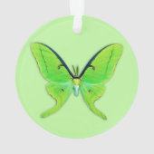 Luna moth op een bleke groene achtergrond ornament (achterkant)