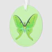 Luna moth op een bleke groene achtergrond ornament (voorkant)